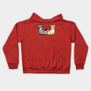 Raccoon Friends in Pink Kids Hoodie